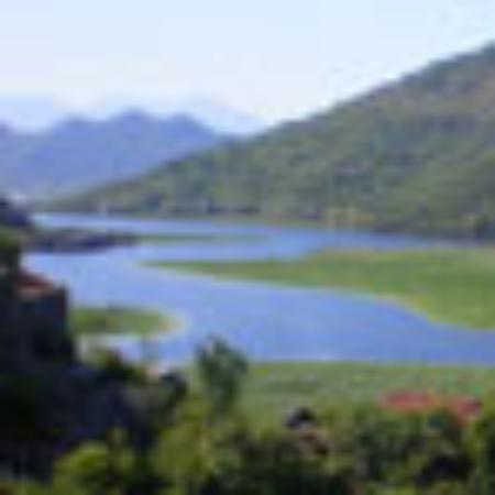 Chillitos Mexican Restaurant